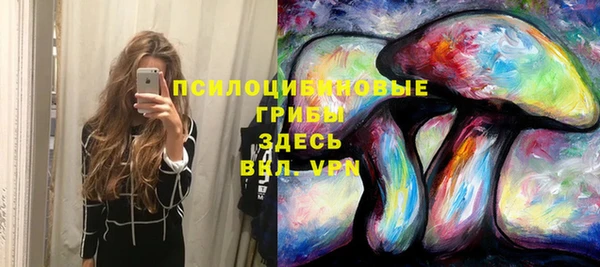бошки Баксан